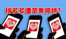 河北今日资讯爆料电话,揭秘今日热点事件